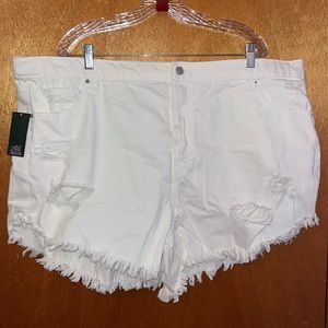 NWT White Destressed Jean Shorts